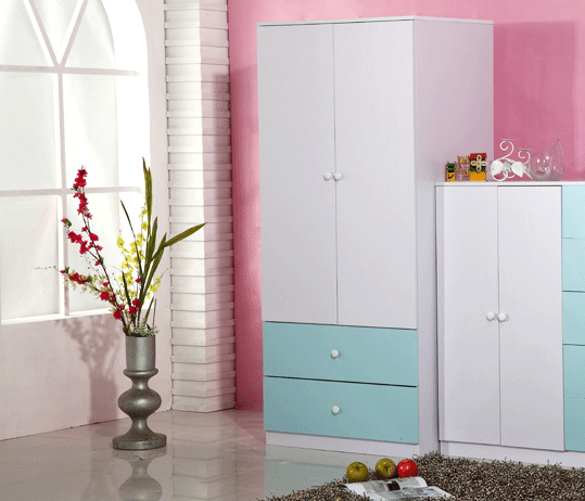 现代田园平拉门衣柜设计图  简易两门衣柜设计