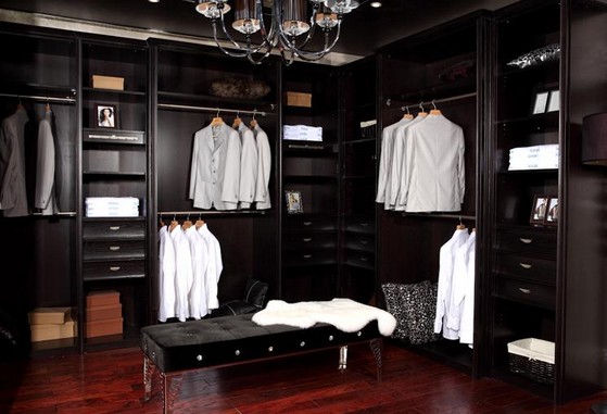 乌木棕简欧衣帽间 艾依格整体衣柜效果图